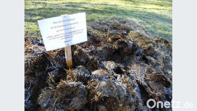 Dieser Mist soll nicht &quot;ausgeliehen&quot; werden: Der Obst- und Gartenbauverein benötigt ihn für sein Kürbisjahr für Kinder. Bild: rn