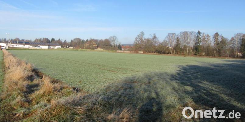 Das bestehende Gewerbegebiet zwischen der Mitterteicher Straße und der ehemaligen Bahnlinie wird stadtauswärts bis zur Raiffeisenstraße erweitert. Nicht mit in den Entwurf einbezogen werden konnte das Grundstück der ehemaligen Gärtnerei (Baumreihe rechts). Bild: kgg