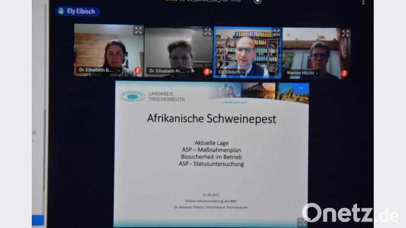 Die Afrikanische Schweinepest und deren Auswirkungen standen im Mittelpunkt einer Online-Veranstaltung des Bauernverbandes. Bild: jr