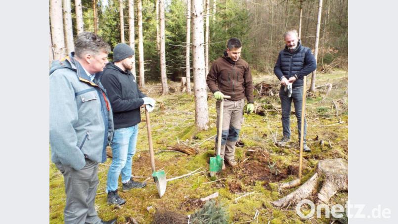 Jungunternehmer und Gewerbebau-Chef Karlheinz Brandelik (links) waren bei der Baumpflanzaktion dabei. Bild: Klaus Högl