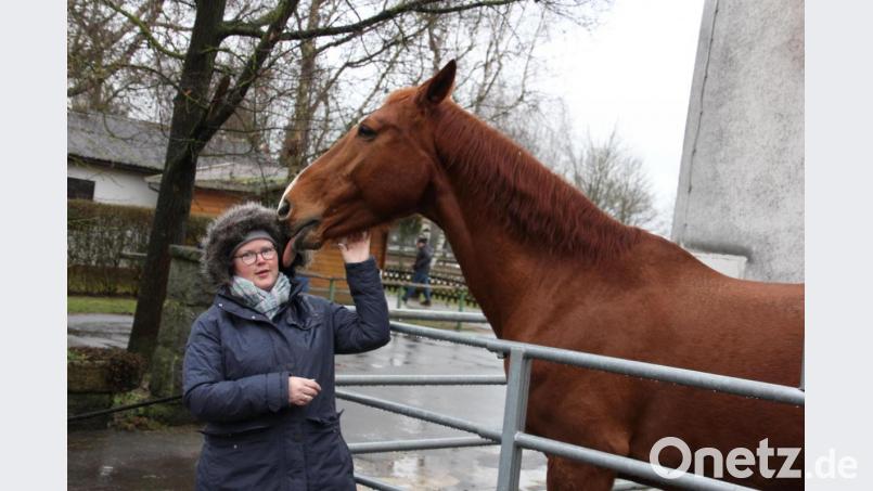 Reitvereins-Vorsitzende Sandra Dietl mit dem sechszehnjährigen Voltigierpferd Gandolf. Bild: kro