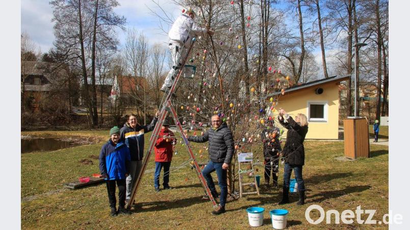 Nur noch wenige Handgriffe, dann ist der bunte Osterbaum in der „Grünen Mitte“ fertig. Das Frühlingssymbol gestalteten (von links) Max und Sandra Pinzer, Hans Spörrer, Raimund Pinzer (auf der Leiter), Hubert Kraus, Christa Bayer und Christine Gärtner. Auf dem Foto fehlt Raimund Pinzer jun., der ebenfalls Hand anlegte. Bild: wro