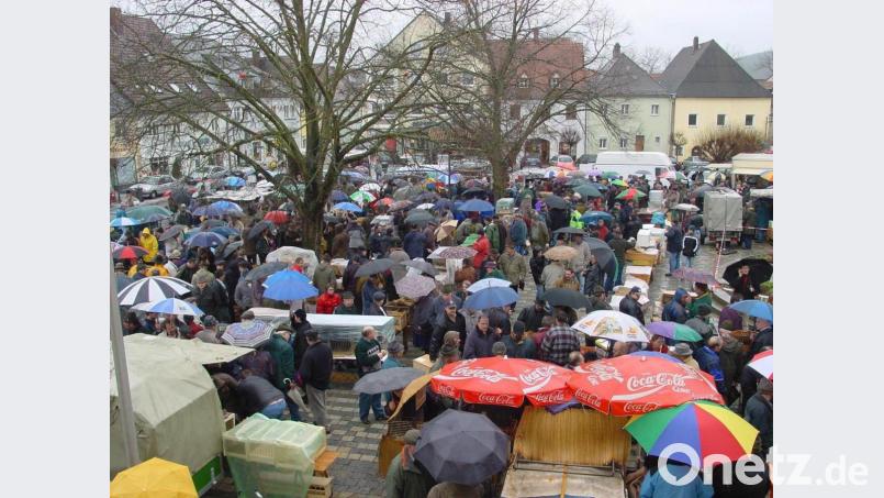Der traditionelle Tauben- und Geflügelmarkt in Pfreimd ist immer ein Großereignis, wie dieser Blick ins Archiv belegt. Am heutigen Aschermittwoch muss er jedoch aufgrund der Geflügelpest ausfallen. Archivbild: hm