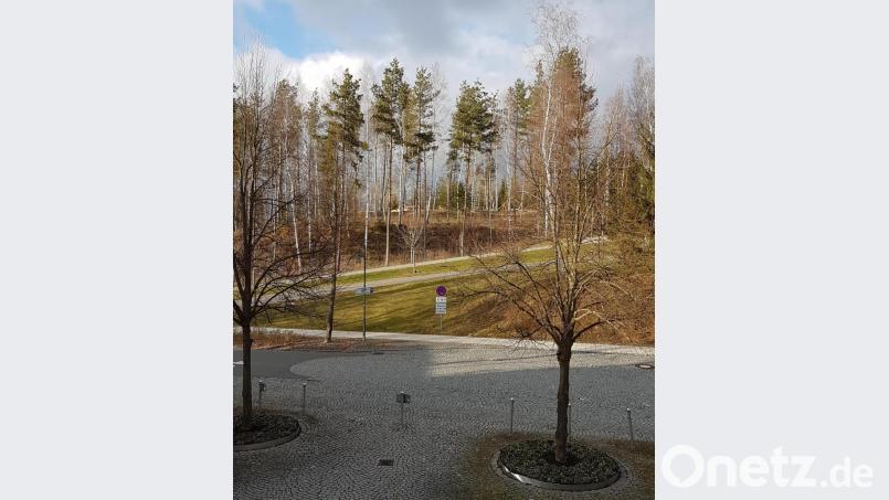 Im Kurpark Sibyllenbad (Bild) ist mit dem Bau eines neuen Bewegungsparcours für die ganze Familie begonnen worden. Bild: Kurmittelhaus Sibyllenbad/exb