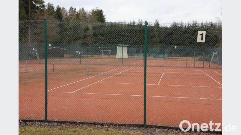 Arbeitseinsätze stehen bevor: In den kommenden Tagen werden die Tennisplätze des TC Waldershof für die Medenrunde vorbereitet. Bild: kro