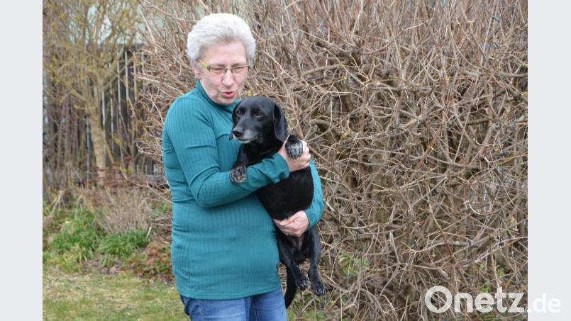 Großes Glück für den Dackel-Mix-Rüden Gustl. Am Sonntagmorgen hat er sich schon wieder gut von seinem Abenteuer erholt. Ursula Wagner ist froh, dass sie den Ausreißer wieder im Arm halten kann. Bild: dob