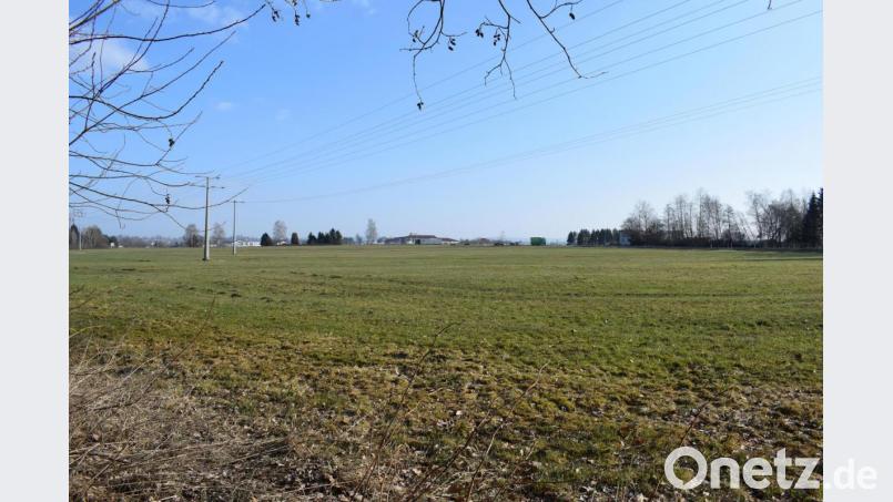 Auf einer rund 35 Hektar großen Fläche im Süden von Tirschenreuth will die Ziegler-Group für 220 Millionen Euro ein neues Werk für die Fertighausproduktion bauen. Dazu laufen im Bauleitplanverfahren die Umweltprüfungen. Bild: szl
