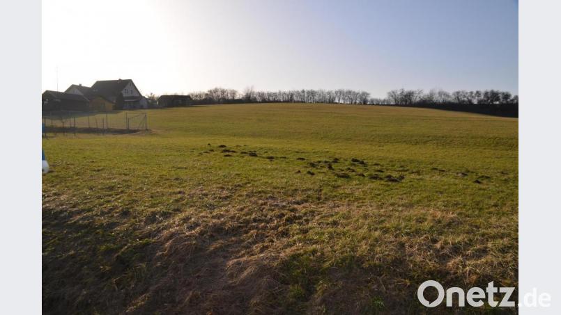 Auf dieser Fläche bei Haidenaab soll das Baugebiet „Am Mühlgraben“ entstehen. Die Pläne sehen hier 20 Bauparzellen vor. Bild: ak