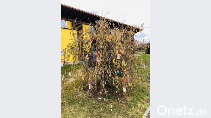 Der Strauch am Eingang des Kindergarten trägt die Osterdekoration, die der Elternbeirat gestaltet hat und gegen eine Spende mitgenommen werden kann. Bild: jow