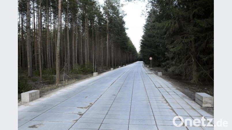 Auf dem Weg zur Sandgrube „Amberg-Ost“ durchtrennt eine breite, zweispurige Schneise den Freihölser Forst. Der BUND Naturschutz fürchtet, dass der Lkw-Verkehr in dem Staatswald mit seinen Trockenkiefern künftig weiter zunehmen könnte – und mehrere Hundert Hektar des Ökosystems abgeholzt werden. Bild: Petra Hartl