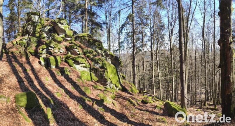 Naturwald &quot;Drei Felsen&quot; bei Tännesberg. Bild: Kilian Müller, Bayerische Staatsforsten