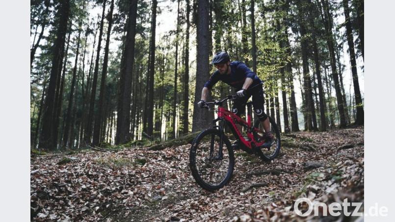 Soll ein Trailpark am Fahrenberg entstehen? Damit befasst sich eine Machbarkeitsstudie. Bild: Max Solfrank/exb