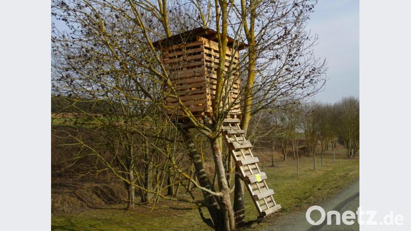 Das Baumhaus am Radweg ist für die Kinder ein toller Abenteuerspielplatz. Im Gemeinderat Altendorf ist man deswegen massiv &quot;zamgruckt&quot;, wie es im Volksmund heißt. Bild: bnr