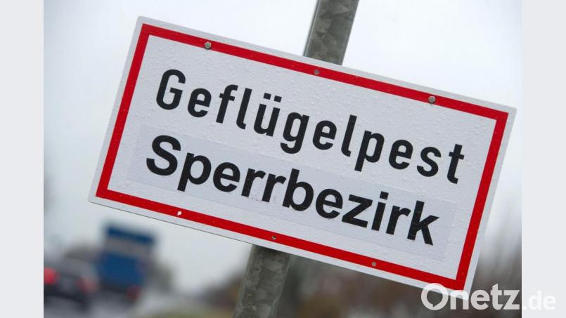 Ein Schild mit der Aufschrift „Geflügelpest Sperrbezirk“ steht an einer Straße. Symbolbild: Stefan Sauer