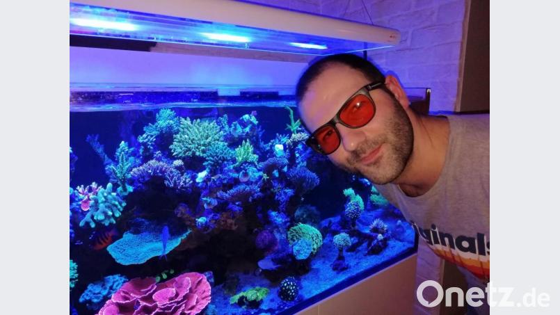 Heinz Arbter mit einer Farbfilter-Brille vor seinem "Gleiritsch-Reef" Bild: Heinz Arbter/exb