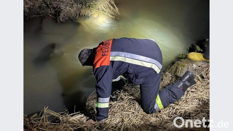 Fritz Leicht, Fachberater Gefahrgut im Landkreis Tirschenreuth, bei der Probenentnahme am Grenzbach nahe Waffenhammer. Das Gewässer ist durch die Milch nach dem Unfall bei Siegritz getrübt. Bild: fks