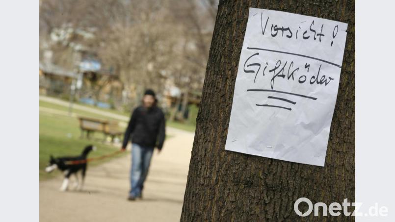 Ein Zettel warnt in einem Park vor Giftködern (Symbolbild). Aktuell mahnt die Polizei zu Vorsicht im Bereich Auerbach: Hier ist am Montag ein Hund durch einen Köder vergiftet worden. Bild: Florian Schuh/dpa