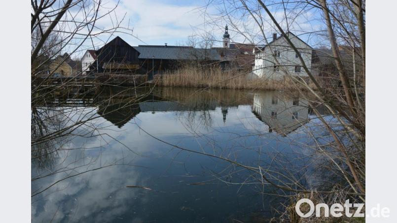 Auch die nahegelegene Teichanlage wird neu hergerichtet und gehört zum zum Gesamtprojekt „Revitalisierung Raiffeisenareal“. Bild: jr