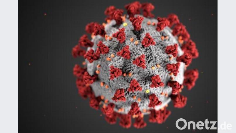 Das Robert-Koch-Institut meldet am Dienstag erneut einen leichten Anstieg der Corona-Fallzahlen in Amberg und im Landkreis Amberg-Sulzbach. Bild: Centers for Disease Control and Prevention illustration