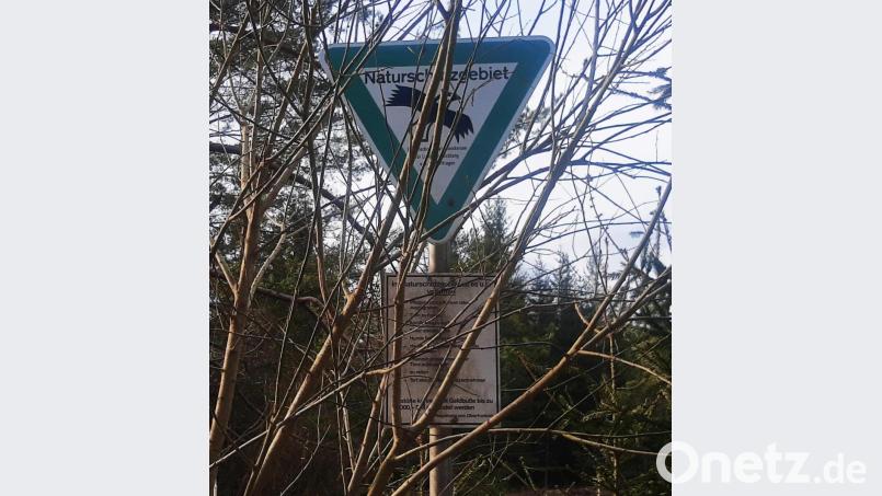 Das "Hahnenfilz" ist ein Naturschutzgebiet, das strengen Regeln unterliegt. Eine Verletzung wie etwa Müllablagerung, hätte schwerwiegende Folgen. Bild: ld