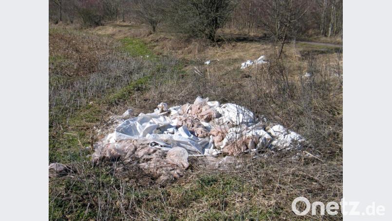 So nicht: Auch Silofolie gehört fachgerecht entsorgt. Sie einfach auf dem Feld liegenzulassen, kann für den Landwirt teuer werden. Bild: bkr