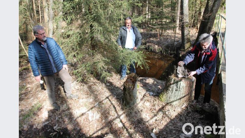 Johann Walbrunn, der Vorsitzende der Franz-Xaver-von Schönwerth-Gesellschaft, ist wie Josef Beimler und Johann Maurer (von rechts) entsetzt über die erneuten Beschädigungen entlang des Sagen- und Märchenpfads im Zottbachtal. Der oder die Übertäter haben eines der "Holzfräuleins" beschädigt. Ein weiteres ist gar nicht mehr auffindbar. Bild: pi