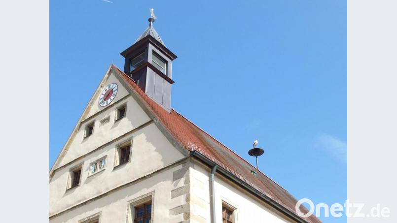 Lange hielt es Meister Adebar erst mal nicht im Stadtpark. Hier betrachtet er die Stadt von der Sirene des Rathauses aus. Bild: Stadt Grafenwöhr