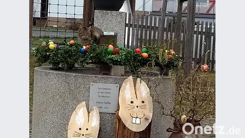 In Hiltersdorf kann jeder mit eigenen Ostereiern zu noch mehr Farbenpracht beitragen. Bild: Gartenbauverein Hiltersdorf