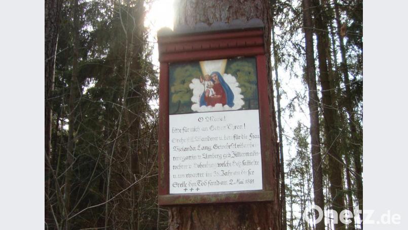 Relativ selten auf Gemeindegebiet sind Baumbilder. Eines findet sich nahe der AS 21 am Wanderweg von Amberg zum Habsberg. Bild: schß