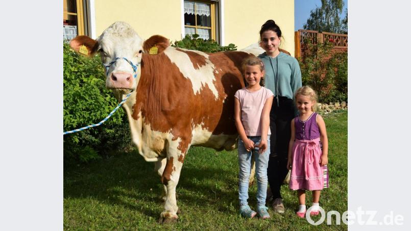 Eines der 20 „Golden Girls“ im Landkreis ist die Kuh „Vanessa“ (im Bild mit Marie, Sarah und Isabell, den Enkelinnen der Familie Herbert Bäuml aus Liebenstein). Sie ist am 14. Dezember 2005 geboren und hat eine Lebensleistung 101 000 Kilo Milch erbracht. Bild: Rudolf Traxinger/exb