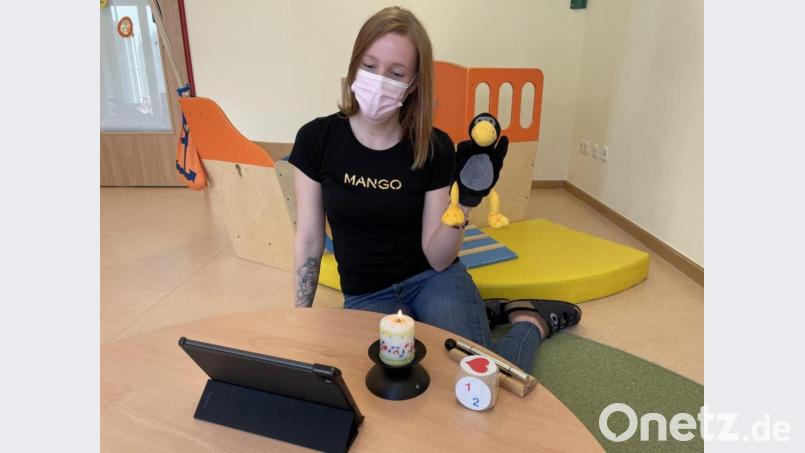 Der virtuelle Morgenkreis mit den Gruppenmaskottchen. Bild: njn