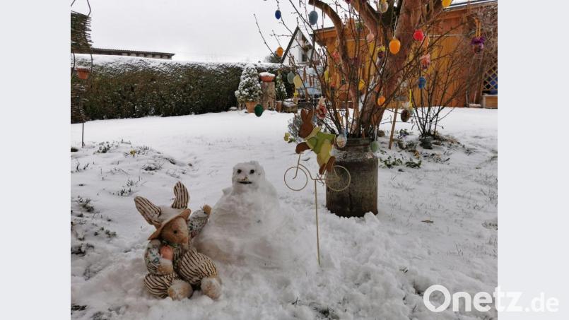 Wenn der Osterhase auf einen Schneemann. trifft: Der Wintereinbruch im Frühjahr macht's möglich. Bild: gz