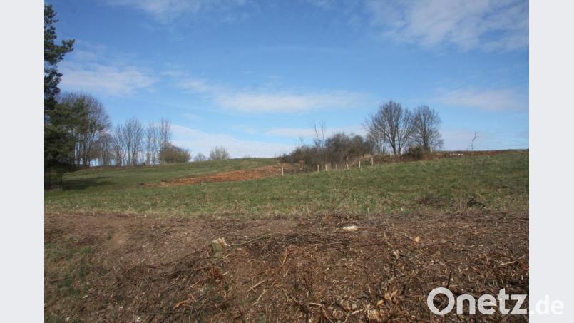 Im neuen Baugebiet östlich der Kreuzberg-Kirche sollen in wenigen Monaten neue Wohnhäuser entstehen. Der modifizierte Bebauungsplan und die dazugehörige Satzung wurden in der jüngsten Sitzung auf den Weg gebracht. Bild: wro