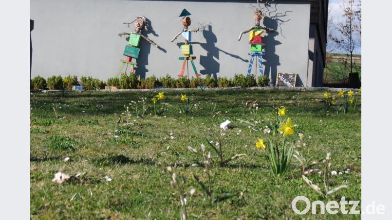 Kinderaktionen und die Gewinnung von Familien stehen besonders im Fokus des Obst- und Gartenbauvereins. Im Herbst 2020 wurden hundert Blumenzwiebeln im Eingangsbereich der Grundschule gepflanzt, die nun zur Blüte erwachen. Bild: tja