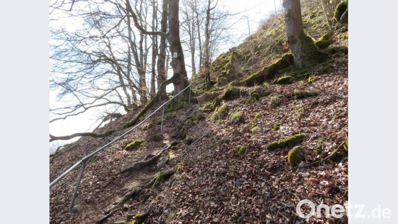 Kenner lieben den derzeit noch gesperrten östlichen Aufstieg auf den Rauhen Kulm, der durch die Basaltblockhalde führt. Er war über 500 Jahre lang der Zugang zur ehemaligen Burg auf dem Berg. Doch besonders dort kommen auch schützenswerte Biotopbäume vor. Archivbild: ow