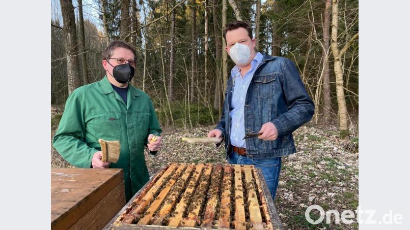 Frühjahrsnachschau zum Zustand des Bienenvolkes: Fachwart Michael Völkl (links) hat Tipps für Jungimker Alexander Greber parat. Bild: Imkerverein Schönsee und Umgebung