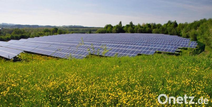 So hätte die PV-Anlage bei Etzelhof aussehen sollen. Der Stadtrat lehnte sie jedoch ab, wobei er sich gleich auf die neue Regelung zur Photovoltaik auf Freiflächen bezog. Bildmontage: Greenovative GmbH / exb