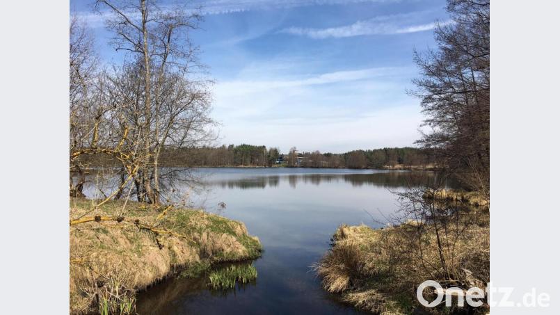 Im Weiher im Bergler-Betriebsgelände in Steinfels könnte schon bald eine Photovoltaikanlage schwimmen. Bild: Bergler/exb