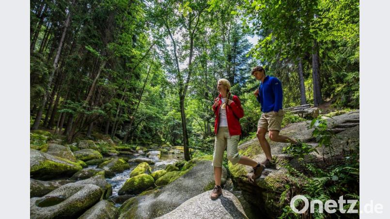 Goldsteig-Wanderer im Naturschutzgebiet Waldnaabtal. Bild: © Tourismuszentrum Oberpfälzer Wald / Thomas Kujat