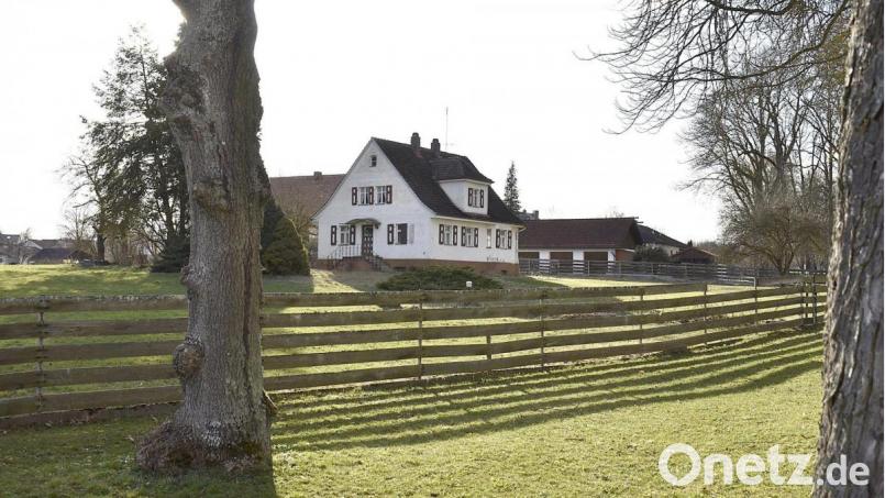Früher befand sich hier die Gärtnerei Belz. Jetzt gehört das etwa 7000 Quadratmeter große Grundstück an der Michelfelder Straße Margarete Mix und ihrem Bruder Erwin Preininger. Bild: sck