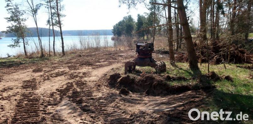 Die Rodungsarbeiten am Westufer des Steinberger Sees sind weitgehend abgeschlossen. In Kürze werden hier die ersten Holzhäuser stehen. Bild: Hirsch