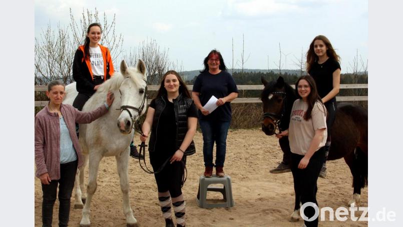 Das Schulpferd "Franzl" (rechts) steht jetzt im Anzer-Stall in Glaubenwies. Von links: Der Schimmel „Girl“, Einstellpferd bei Anzer, Vorsitzende Martina Trepkowski, Christina Mayer, Lena Brehm, Trixi Sünder, Leah Göhler und Leonie Reber. Bild: R. Kreuzer