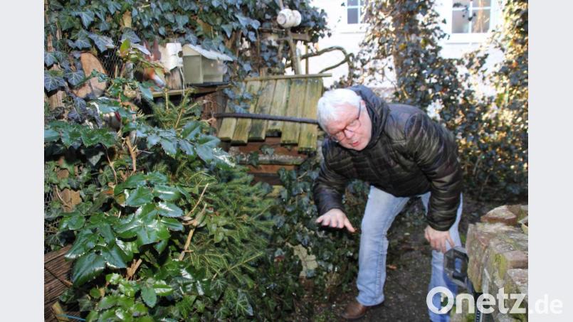 Der Vorsitzende des Bund Naturschutz, Ortsgruppe Schnaittenbach, Bebbo Schuller hat seinen Garten igelfreundlich gestaltet und dort auch einige Igelhäuser unter dichten Sträuchern aufgestellt. Bild: ads