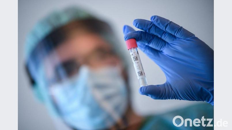 Bei fünf Menschen aus dem Landkreis Neustadt/WN wurde zwischen Montag und Dienstag eine Neuinfektion mit dem Coronavirus nachgewiesen. Symbolbild: Britta Pedersen/dpa