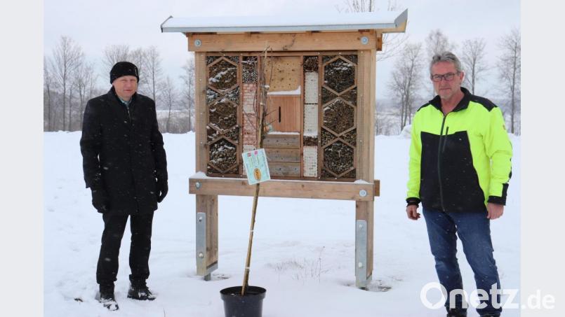 Bürgermeister Lothar Müller (links) und Hausmeister Toni Müller nahmen den Apfelbaum in Empfang. Dieser wird nach Ende des Wintereinbruchs in der Nähe des Insektenhotels eingepflanzt. Bild: flt