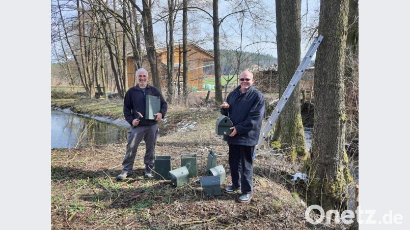 Bürgermeister Klaus Meyer (rechts) zusammen mit Rudolf Leitl, der im Auftrag des Staatlichen Bauamts Amberg-Sulzbach die Vogel- und Fledermausnistkästen am Muglbach aufhängte. Bild: Markt Bad Neualbenreuth/exb