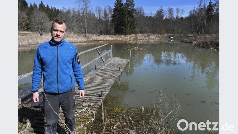 Eigentümer Jürgen Wendl vor dem Weiher im Taubenbachtal, in dem jetzt wieder Amphibien ablaichen können. Bild: Petra Hartl