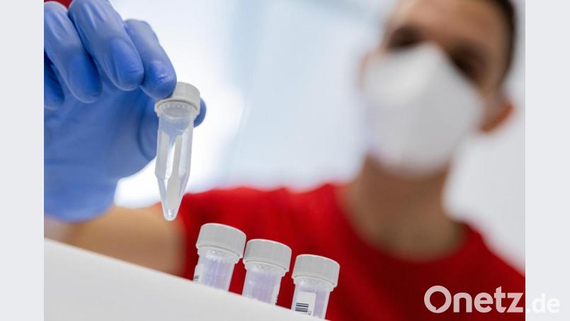 Künftig müssen Unternehmen in Deutschland ihren Mitarbeitern Corona-Tests anbieten. Das beschloss die Regierung am Dienstag. Bild: Rolf Vennenbernd/dpa