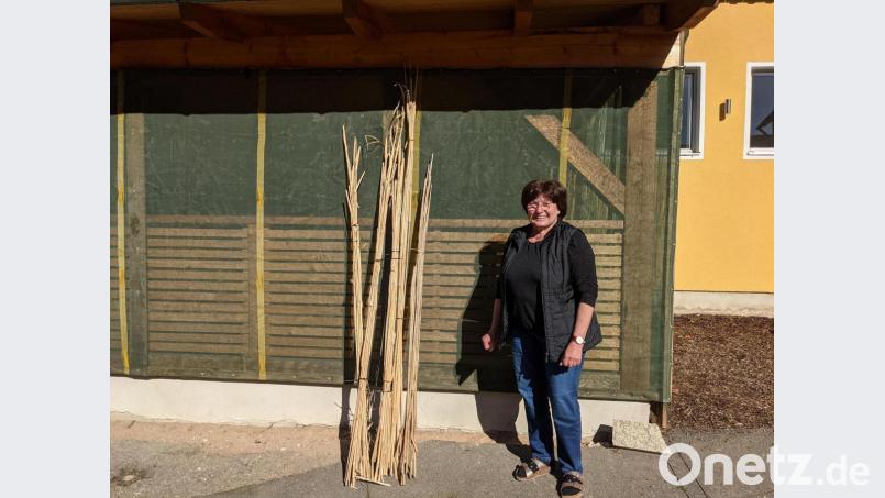 Marille Weig aus Albersrieth und ihre Familie haben das Elefantengras für die Insektenhotels gestiftet. Bild: LBV/exb