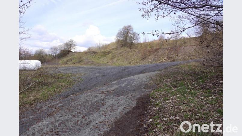 Auf der linken kahlen Fläche ist der Bau des Schafstalls geplant. Bild: bkr